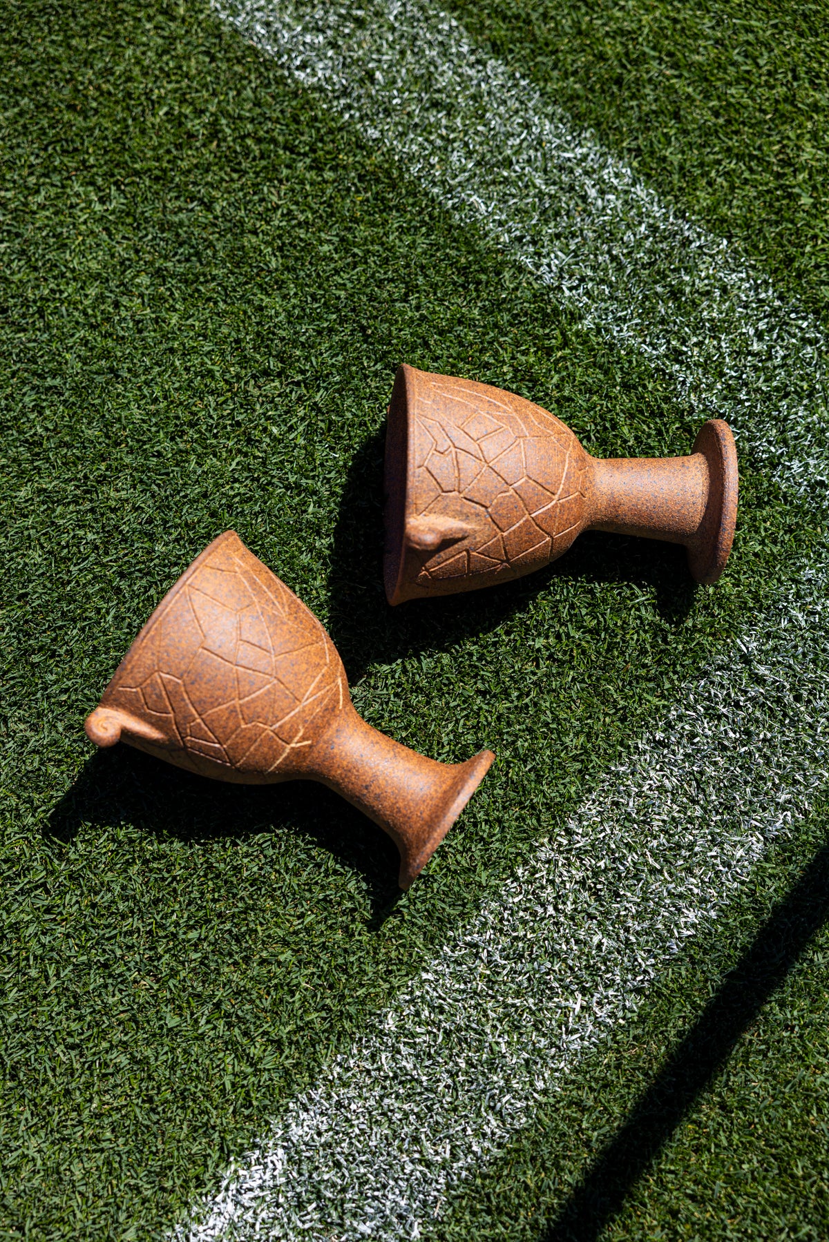 The Oakland Cup