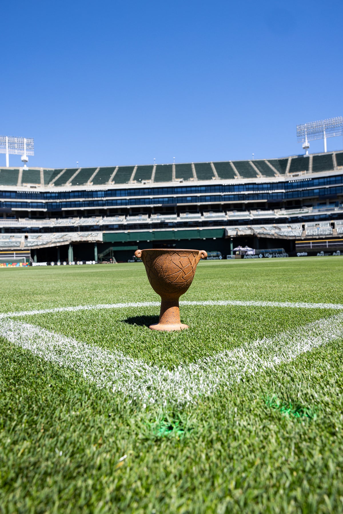 The Oakland Cup