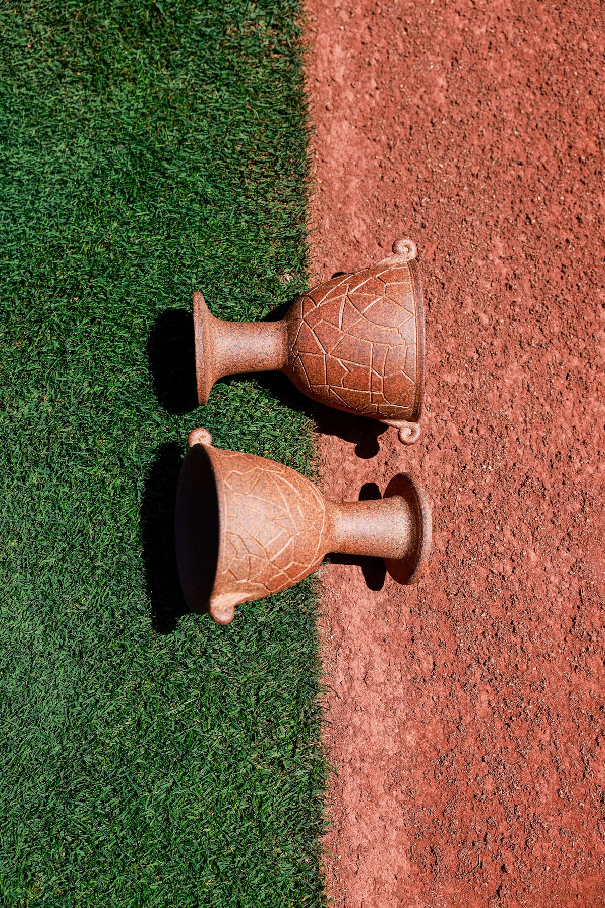 The Oakland Cup